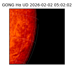 gong - 2026-02-02T05:02:02
