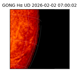 gong - 2026-02-02T07:00:02