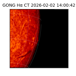 gong - 2026-02-02T14:00:42