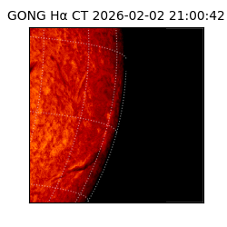 gong - 2026-02-02T21:00:42