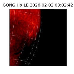 gong - 2026-02-02T03:02:42