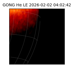 gong - 2026-02-02T04:02:42