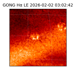 gong - 2026-02-02T03:02:42