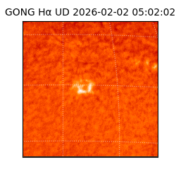 gong - 2026-02-02T05:02:02