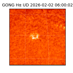 gong - 2026-02-02T06:00:02