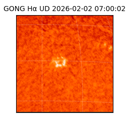 gong - 2026-02-02T07:00:02