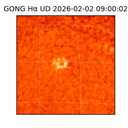 gong - 2026-02-02T09:00:02