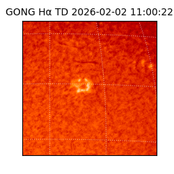 gong - 2026-02-02T11:00:22