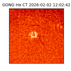 gong - 2026-02-02T12:02:42