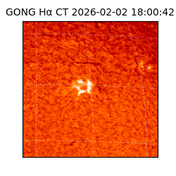 gong - 2026-02-02T18:00:42