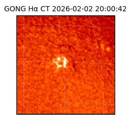 gong - 2026-02-02T20:00:42