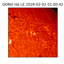 gong - 2026-02-02T01:00:42