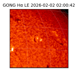 gong - 2026-02-02T02:00:42