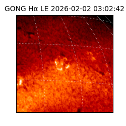 gong - 2026-02-02T03:02:42