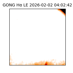 gong - 2026-02-02T04:02:42