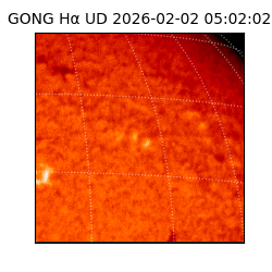 gong - 2026-02-02T05:02:02