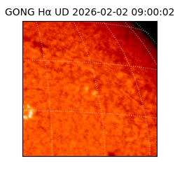 gong - 2026-02-02T09:00:02