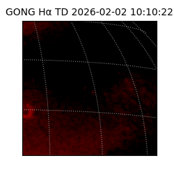 gong - 2026-02-02T10:10:22
