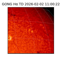 gong - 2026-02-02T11:00:22