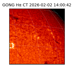 gong - 2026-02-02T14:00:42