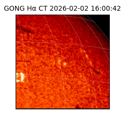 gong - 2026-02-02T16:00:42