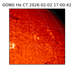 gong - 2026-02-02T17:00:42