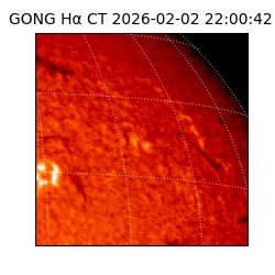 gong - 2026-02-02T22:00:42
