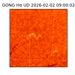 gong - 2026-02-02T09:00:02