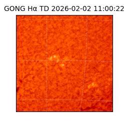 gong - 2026-02-02T11:00:22