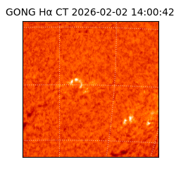 gong - 2026-02-02T14:00:42