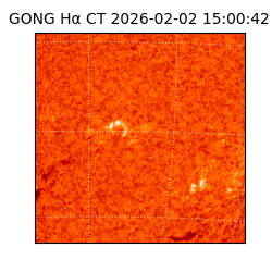 gong - 2026-02-02T15:00:42