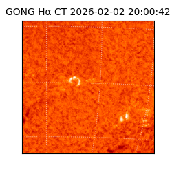 gong - 2026-02-02T20:00:42