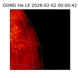 gong - 2026-02-02T00:00:42