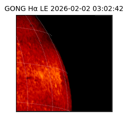 gong - 2026-02-02T03:02:42