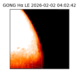 gong - 2026-02-02T04:02:42