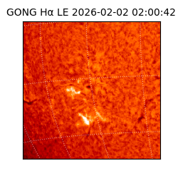 gong - 2026-02-02T02:00:42