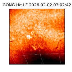gong - 2026-02-02T03:02:42