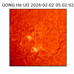 gong - 2026-02-02T05:02:02