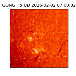 gong - 2026-02-02T07:00:02