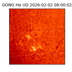 gong - 2026-02-02T08:00:02