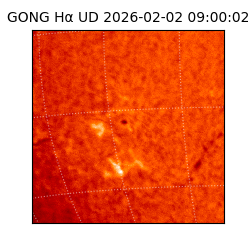 gong - 2026-02-02T09:00:02