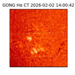 gong - 2026-02-02T14:00:42