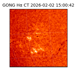 gong - 2026-02-02T15:00:42