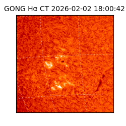 gong - 2026-02-02T18:00:42