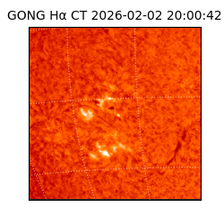 gong - 2026-02-02T20:00:42