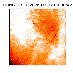 gong - 2026-02-02T00:00:42