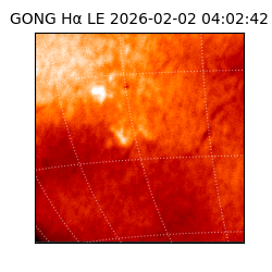 gong - 2026-02-02T04:02:42