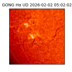 gong - 2026-02-02T05:02:02