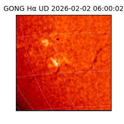 gong - 2026-02-02T06:00:02