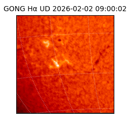 gong - 2026-02-02T09:00:02